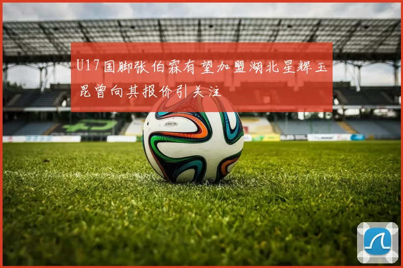 U17国脚张伯霖有望加盟湖北星辉玉昆曾向其报价引关注
