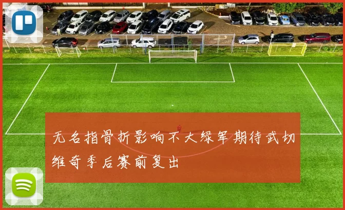 无名指骨折影响不大绿军期待武切维奇季后赛前复出