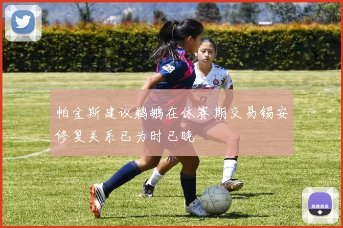 帕金斯建议鹈鹕在休赛期交易锡安修复关系已为时已晚